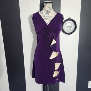 Vintage Purpke Velvet